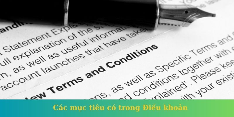 Các mục tiêu có trong Điều khoản